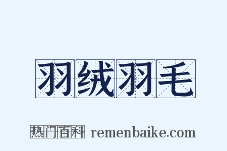 羽绒羽毛是什么意思的图片